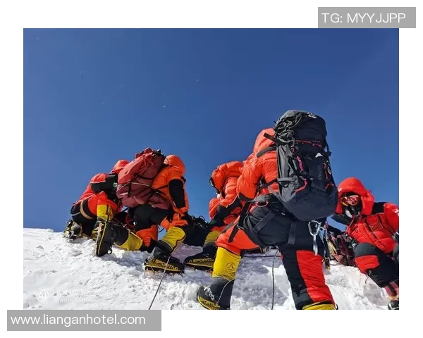 上海排球队的蜕变之路大师赛特别报道见证成长与荣耀