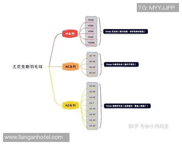 从零起步羽毛球意识全面提升指南助你成为场上高手