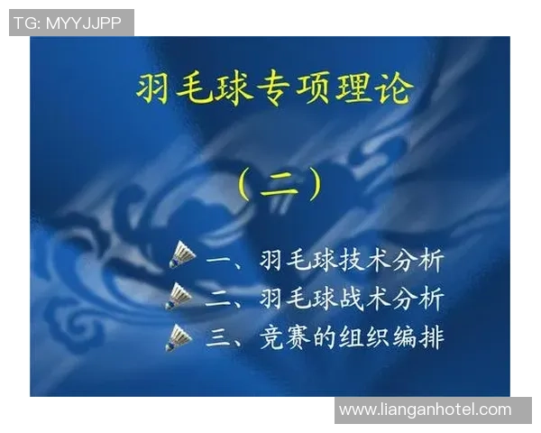 北京羽毛球队总决赛技术分析与表现评估探讨 北京羽毛球队总决赛技术分析与表现评估探讨