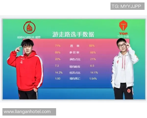 王者荣耀巨献：深入分析TES战队当前状态与未来展望