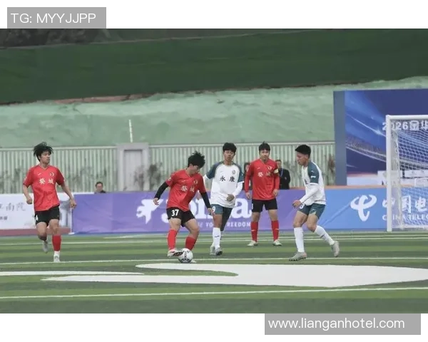 足球的肋骨：探讨这项运动背后的力量与韧性