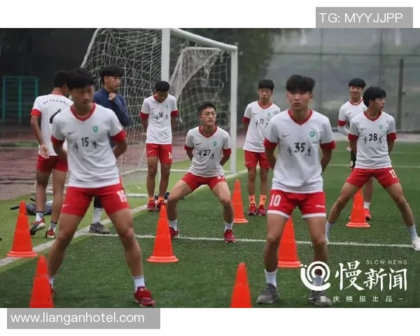 学习足球的费用大揭秘让你了解不同培训机构的收费标准与性价比