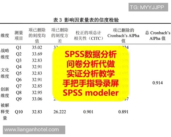 深入探讨V5在数据分析中的速度表现与优化策略分析