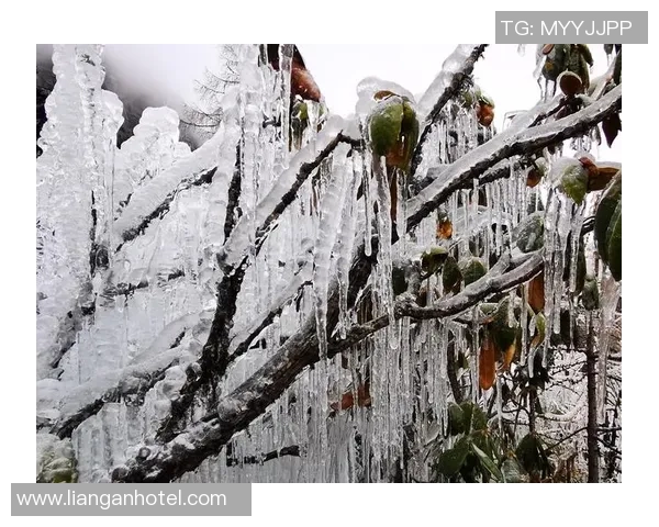 足球冰雹的奇妙碰撞:当绿茵场遇上冰雪奇缘的瞬间 足球冰雹的奇妙碰撞:当绿茵场遇上冰雪奇缘的瞬间