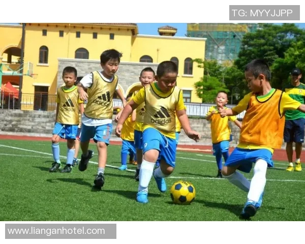 足球热度低迷的背后原因与未来发展方向的深度探讨